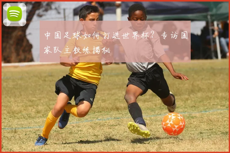 中国足球如何打进世界杯？专访国家队主教练揭秘
