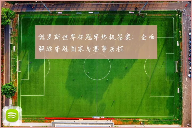 俄罗斯世界杯冠军终极答案:全面解读夺冠国家与赛事历程