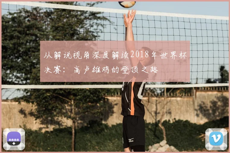 从解说视角深度解读2018年世界杯决赛：高卢雄鸡的登顶之路