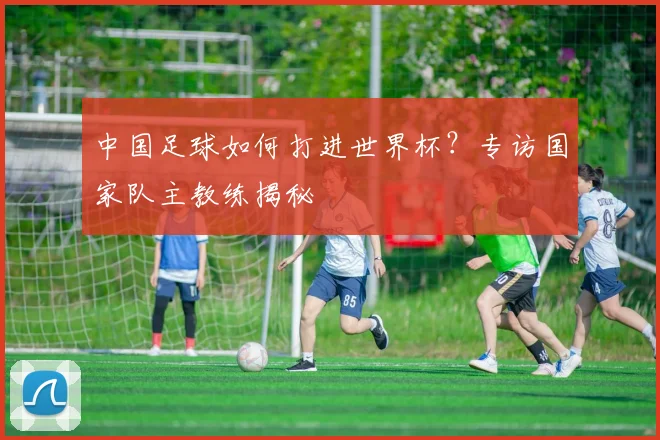 中国足球如何打进世界杯?专访国家队主教练揭秘